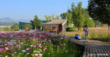 公園景區(qū)智慧公廁怎么建？旅游智慧廁所有什么功能？@ZonTree中期